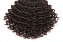 Load image into Gallery viewer, Burmese curly